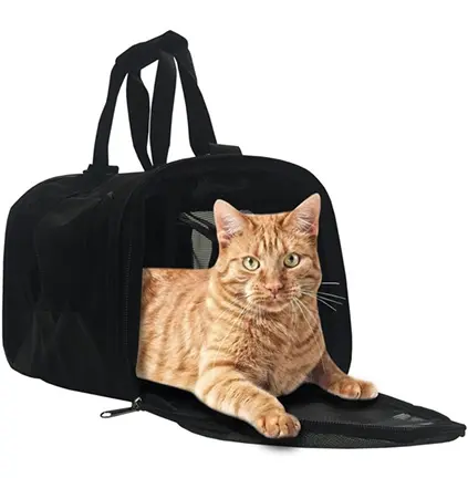 Pink & White Diamond Encrusted Dog Collar