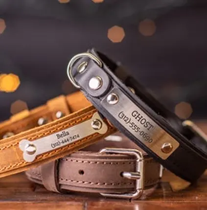 Leather Dog Collars with Gold Name Tag